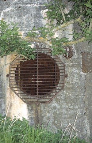 L 411 A - Entl�ftung f�r Dieselabgase