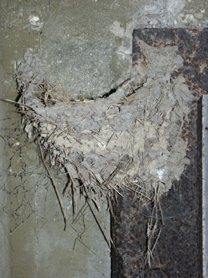 T�rzarge im Unterstand