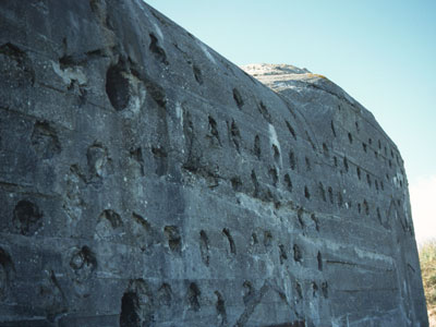 Die d�nemarktypische Tarnung