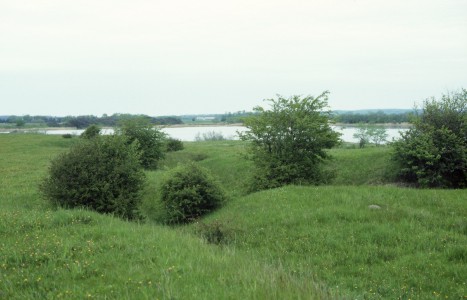 FlaZug LINDHOLM I, Stellungsgel�nde