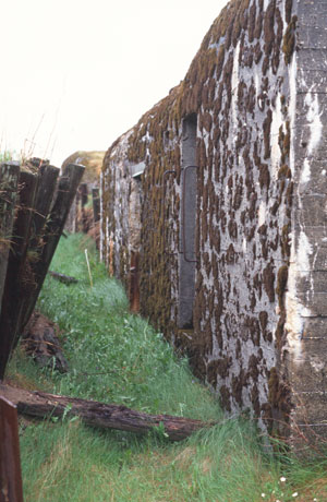 Laufgraben im Bunkerdorf