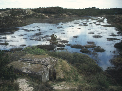 Feldm��iger Kleinststand in der Funkme�stellung Robbe