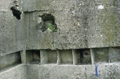 HKB Equerdreville / R 679 - Nischen f�r Tarnung