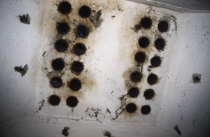 Kabeldurchf�hrungen f�r das Mammut im L 485