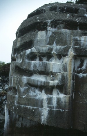 HKB Ho�n - R 671, Detail der Tarnung