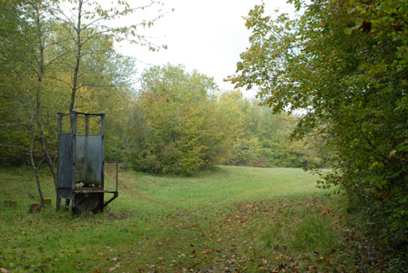 weniger stilles Örtchen