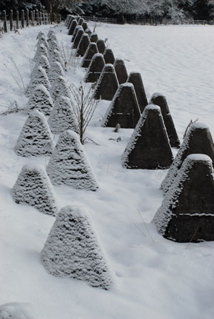 H�ckerlinie in der Schneeifel