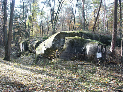 R 102v im Wald n�rdlich Karlsruhe