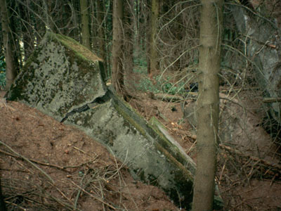 Tr�mmer bei Berk [DSK]